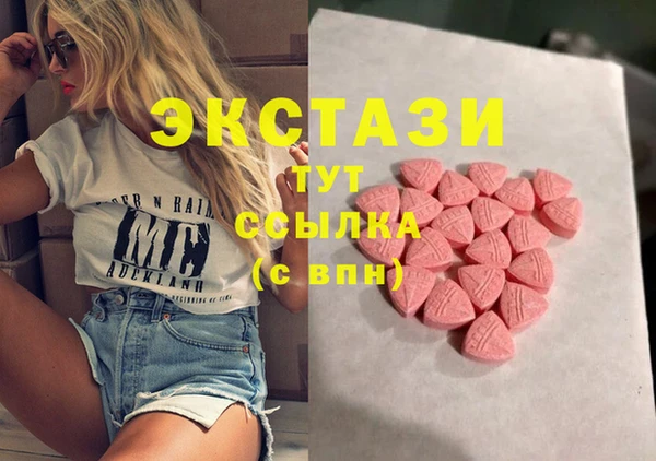 ECSTASY Алзамай